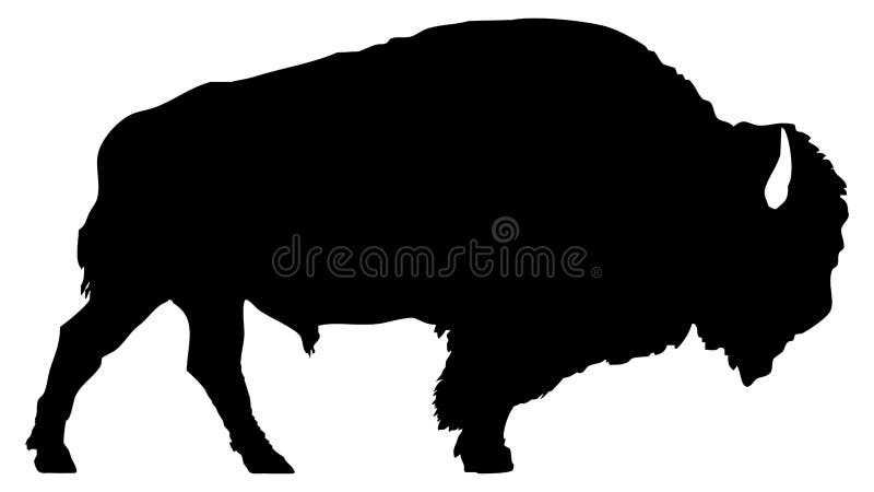 Silueta del bisonte americano ilustración del vector Silueta del bisonte americano ilustración del vector