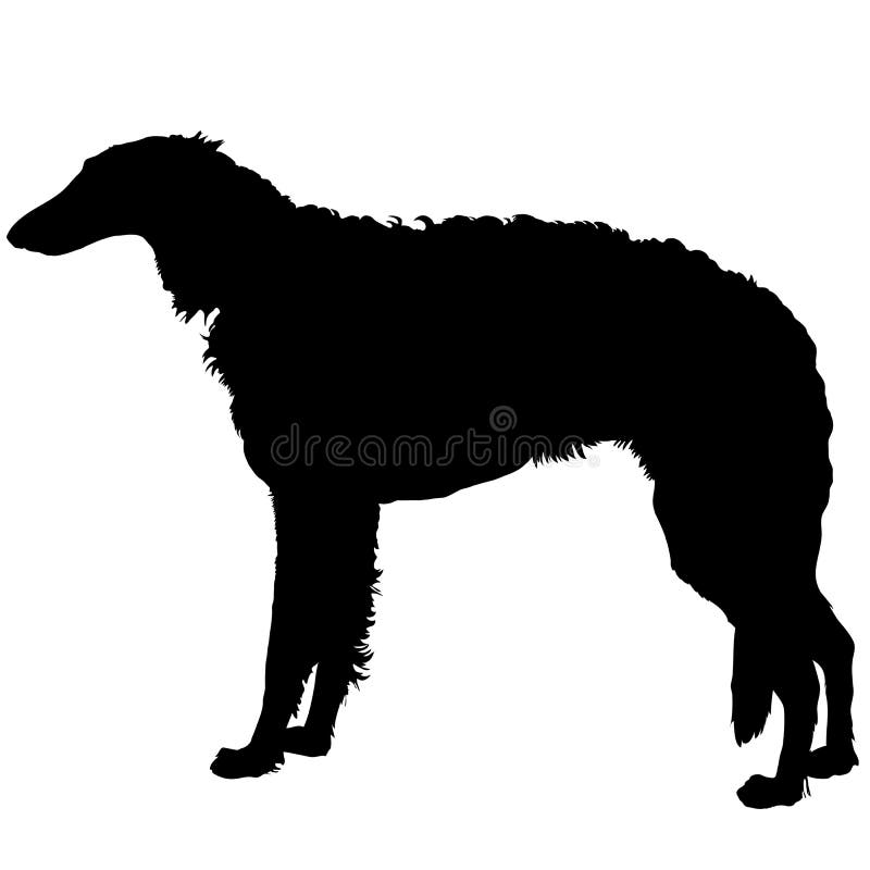 Silueta del galgo ruso libre illustration Silueta del galgo ruso libre illustration