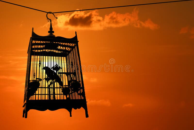 Silhouette of Bird in the cage with red sky sunset background, freedom concept. Silhouette of Bird in the cage with red sky sunset background, freedom concept