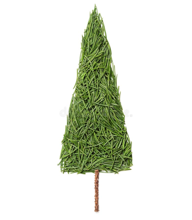 Silueta del árbol de abeto de la Navidad hecho de agujas del pino en un fondo blanco foto de archivo Silueta del árbol de abeto de la Navidad hecho de agujas del pino en un fondo blanco foto de archivo