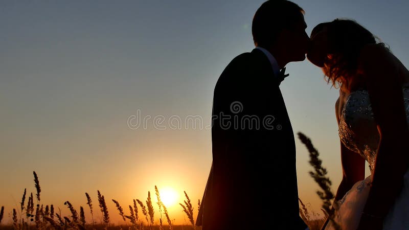 Silueta joven de los pares del beso romántico de la boda Pares cariñosos en la silueta del hombre y de la muchacha de la naturale