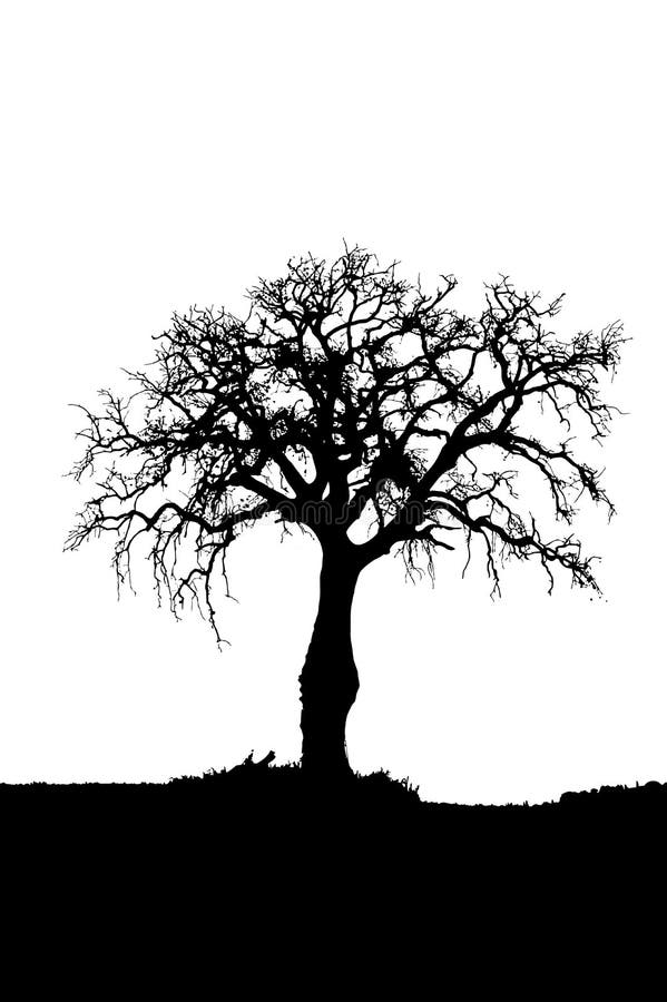 Silueta muerta del árbol stock de ilustración Silueta muerta del árbol stock de ilustración