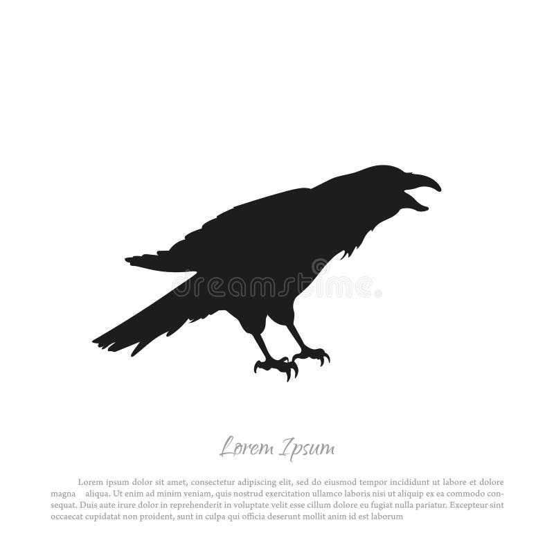 Silueta negra del cuervo en un fondo blanco Raven Isolated stock de ilustración