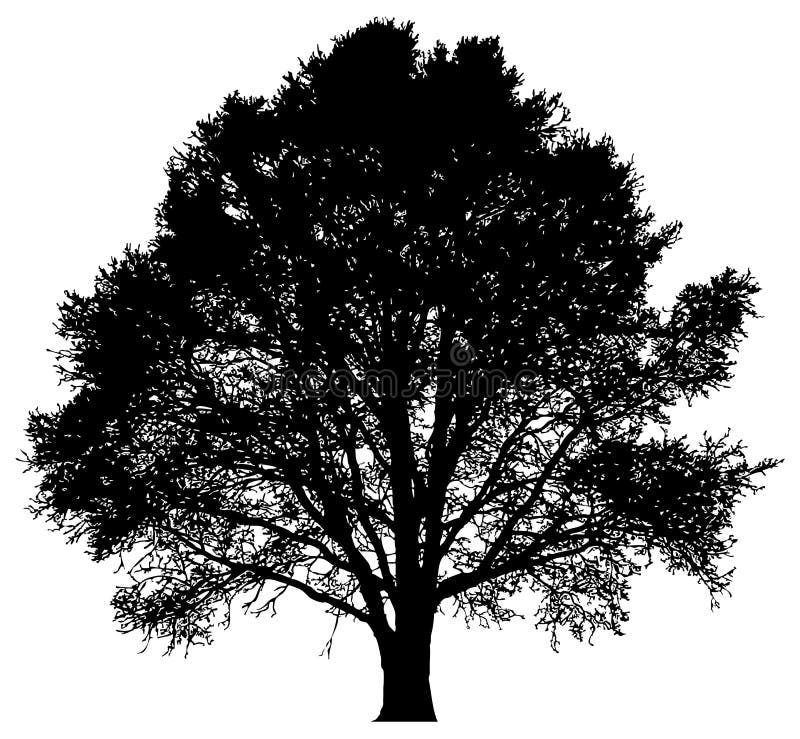 Silueta unui arbore singuratic stock illustration