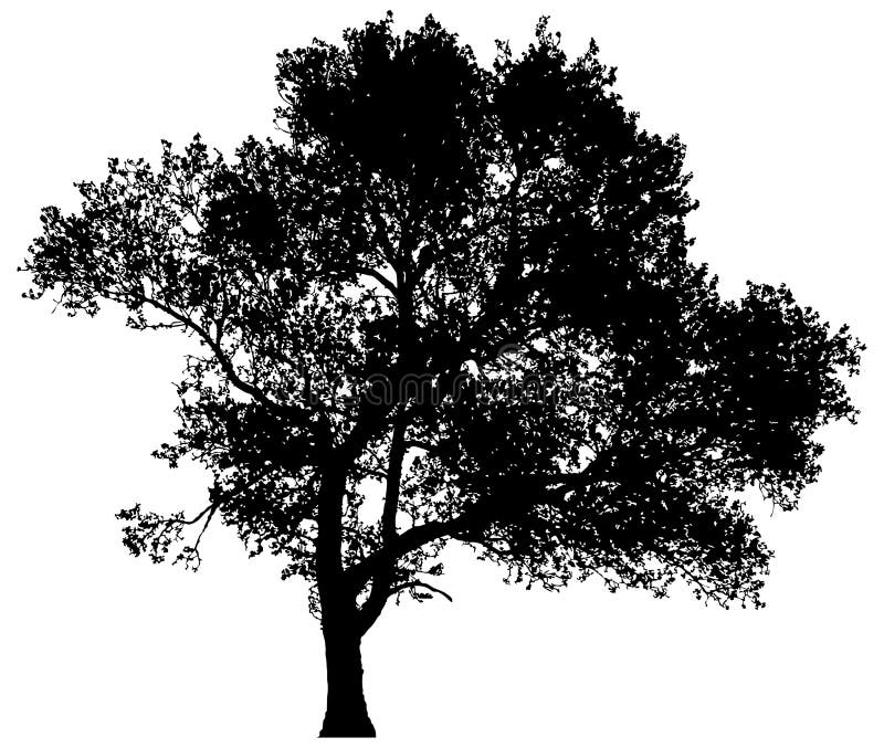 Silueta unui arbore singuratic stock illustration