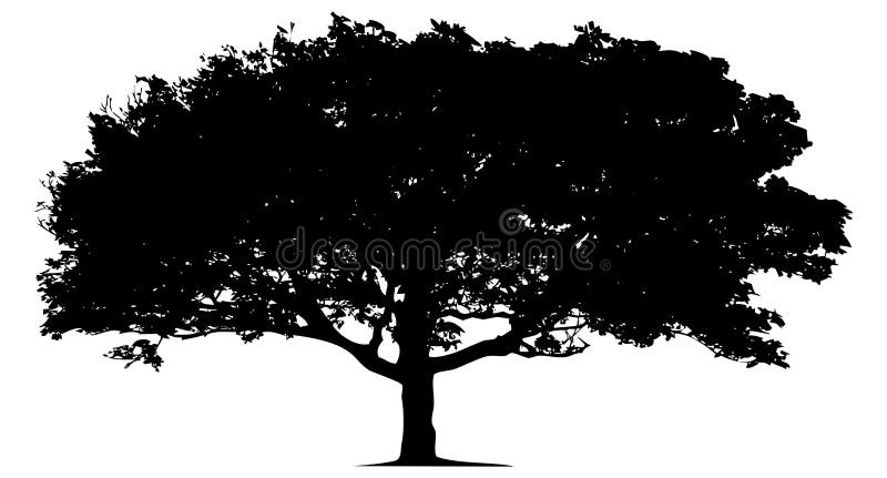 Silueta unui arbore singuratic royalty free illustration