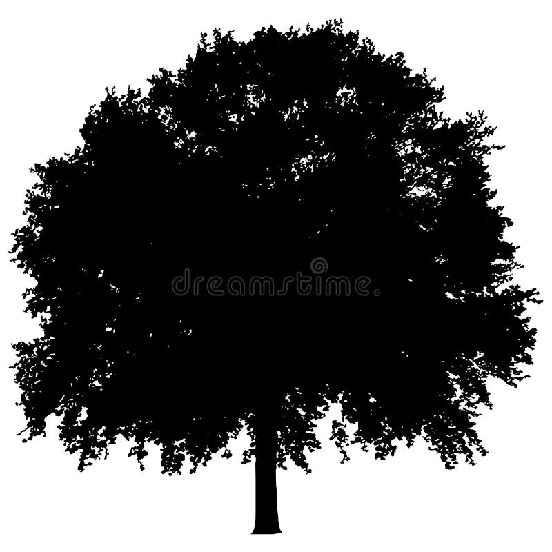 Silueta unui arbore singuratic vector illustration