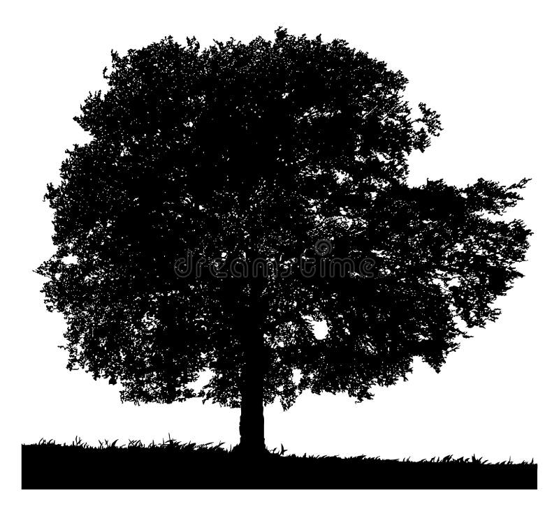 Silueta unui arbore singuratic vector illustration