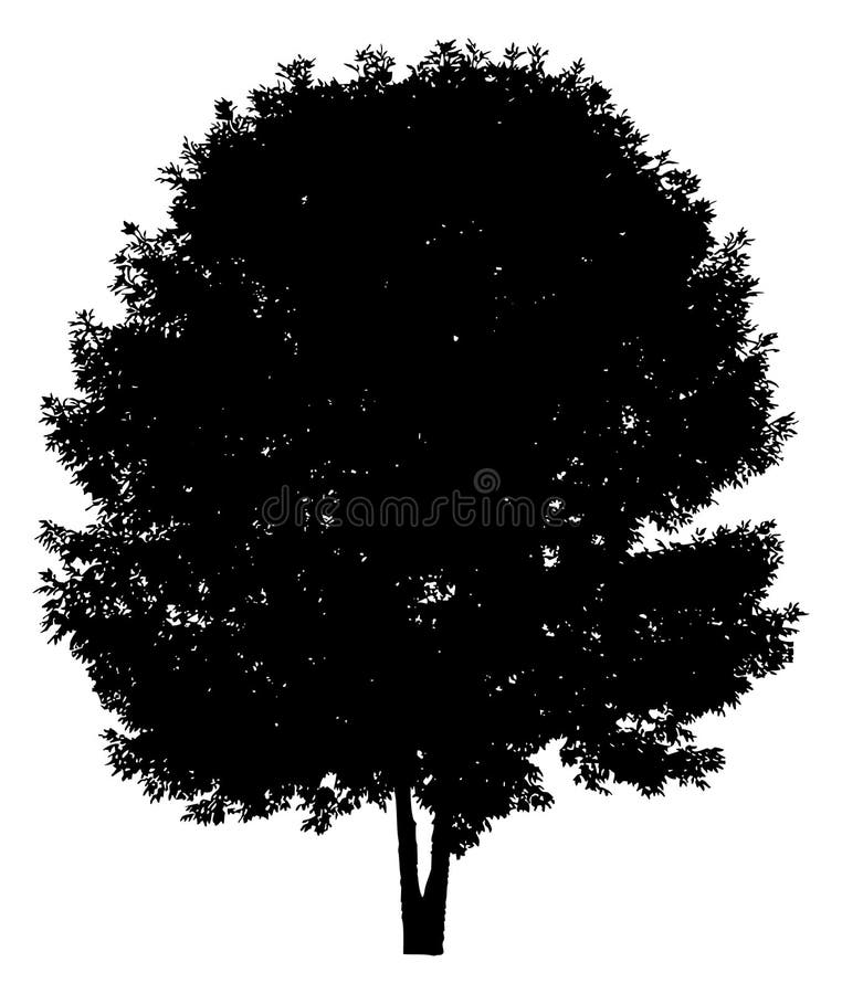 Silueta unui arbore singuratic royalty free illustration