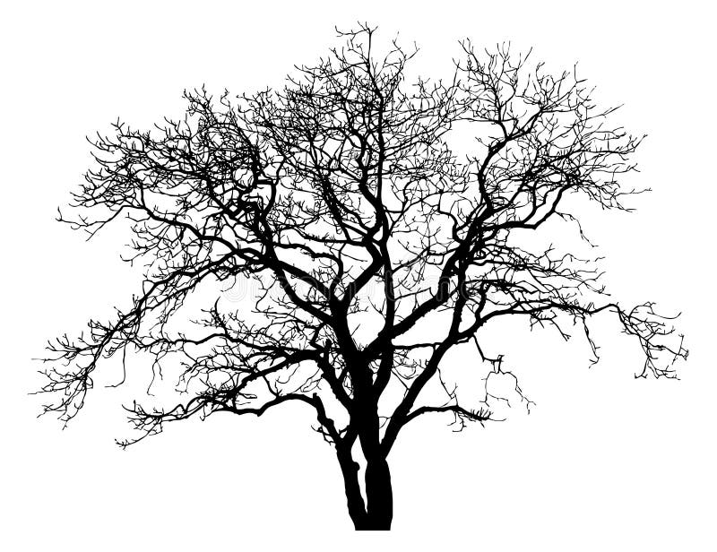 Silueta unui arbore singuratic vector illustration