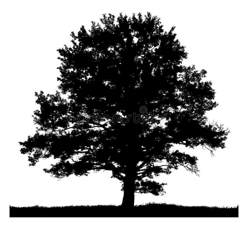 Silueta unui arbore singuratic stock illustration