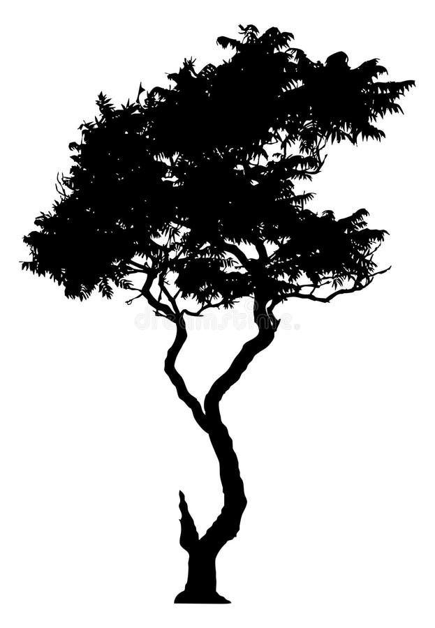 Silueta unui arbore singuratic royalty free illustration