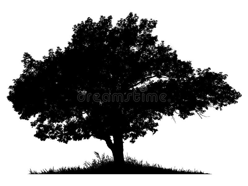 Silueta unui arbore singuratic stock illustration