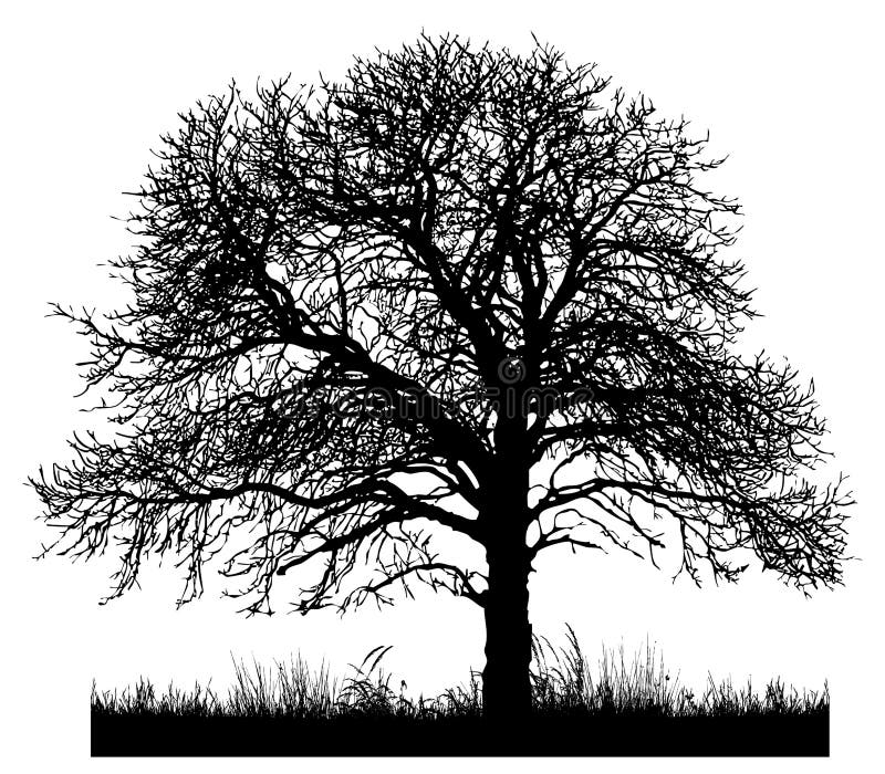 Silueta unui arbore singuratic vector illustration