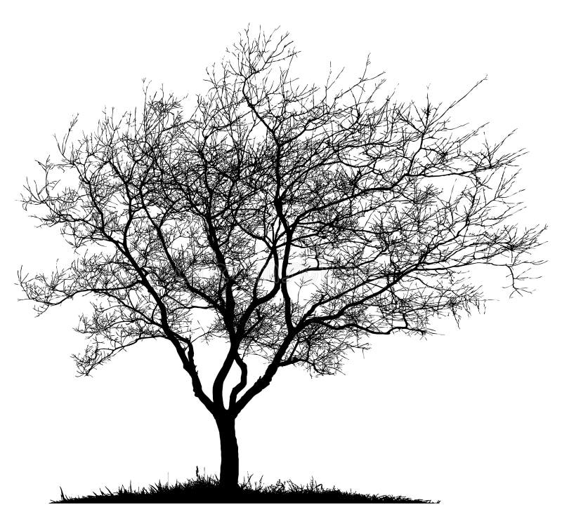 Silueta unui arbore singuratic royalty free illustration