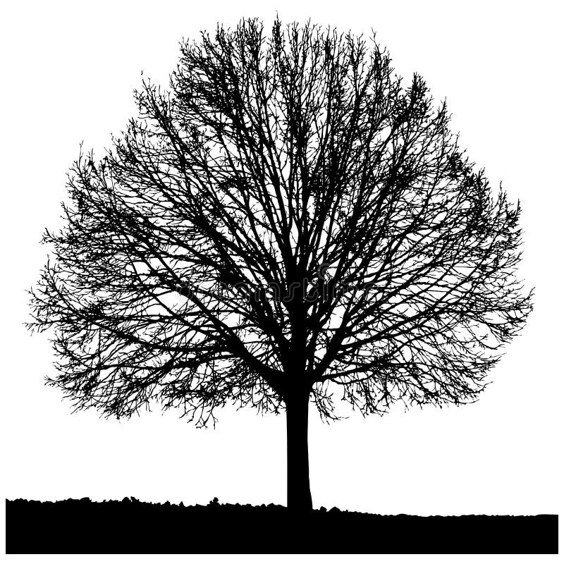 Silueta unui arbore singuratic stock illustration