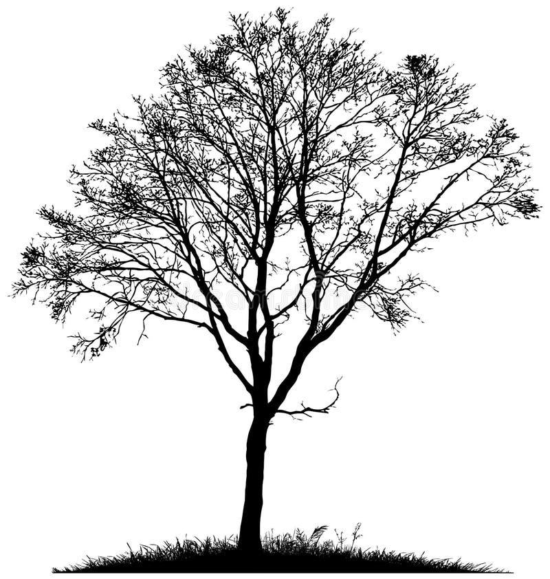 Silueta unui arbore singuratic royalty free illustration