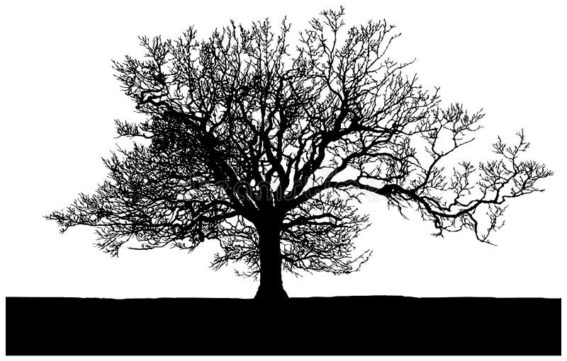 Silueta unui arbore singuratic stock illustration