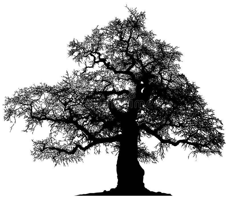 Silueta unui arbore singuratic royalty free illustration