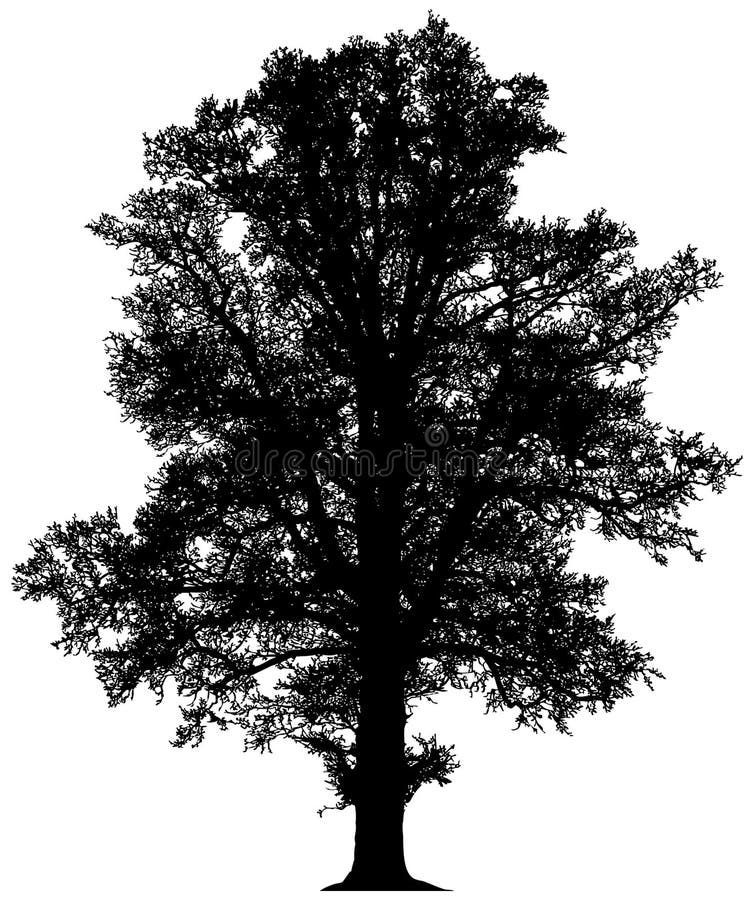 Silueta unui arbore singuratic stock illustration