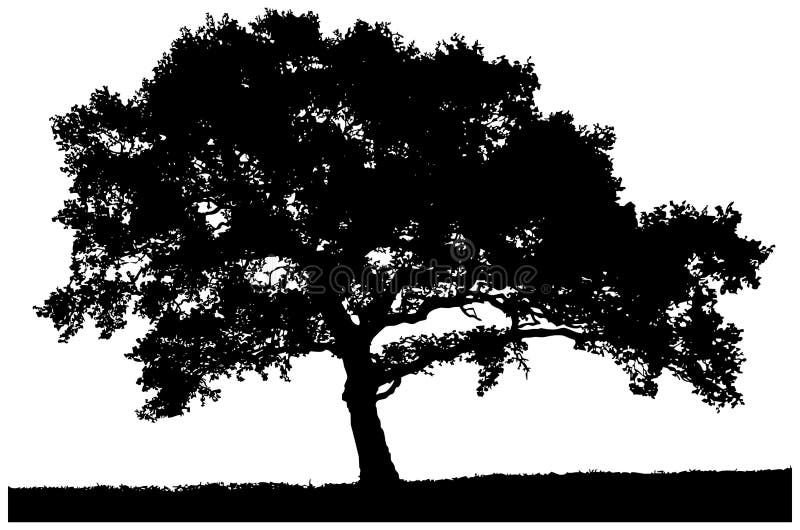 Silueta unui arbore singuratic stock illustration