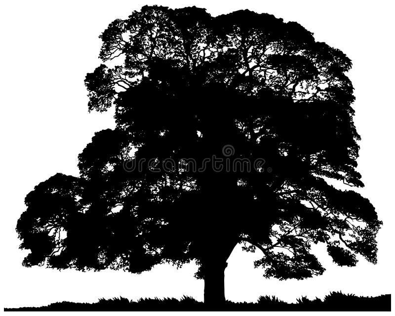 Silueta unui arbore singuratic vector illustration