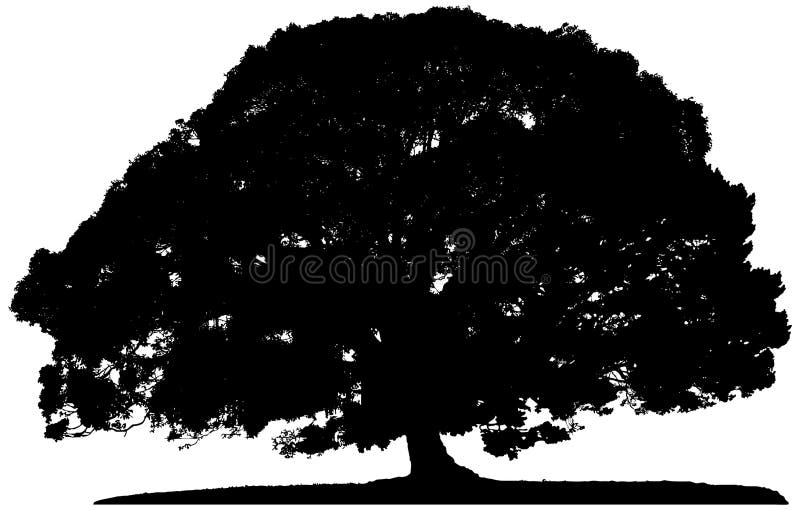 Silueta unui arbore singuratic stock illustration