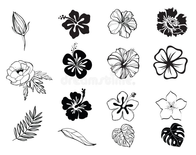 Siluetas de blanco y negro de las flores aisladas libre illustration Siluetas de blanco y negro de las flores aisladas libre illustration