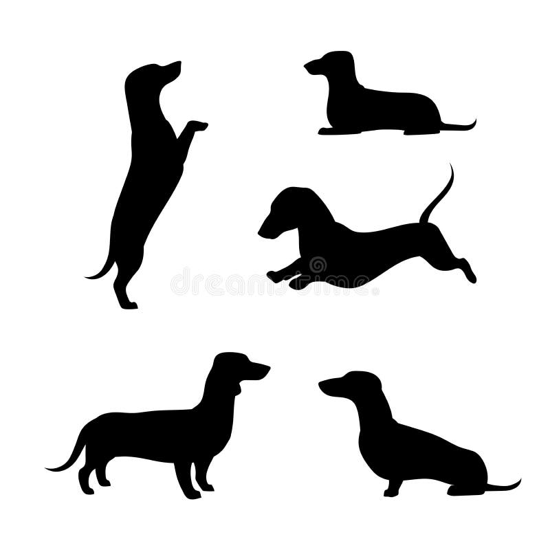 Siluetas del vector del perro basset libre illustration Siluetas del vector del perro basset libre illustration