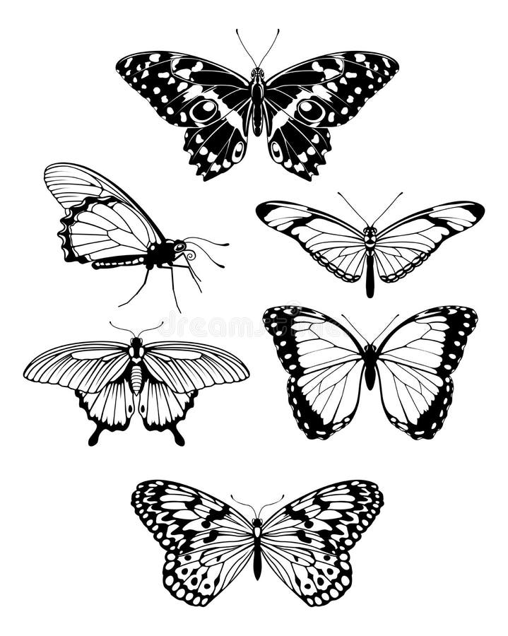 Siluetas estilizadas hermosas del esquema de la mariposa