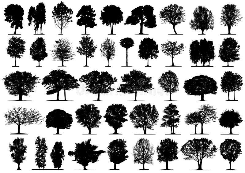 Siluetas negras del árbol libre illustration Siluetas negras del árbol libre illustration
