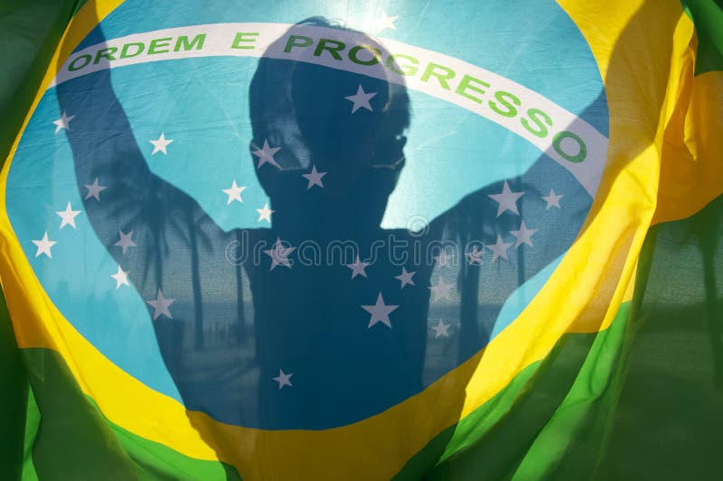 Siluete strălucitoare, palmieri de palmier brazilieni royalty free stock photo