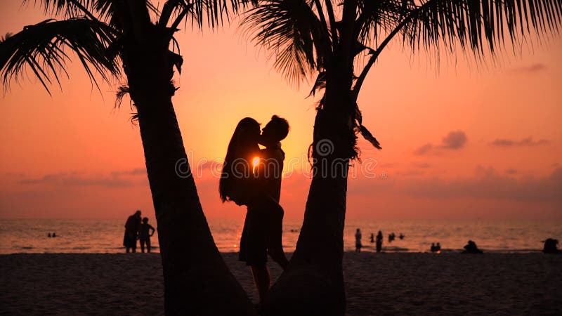 Siluetee los pares cariñosos que se besan en la puesta del sol en la naturaleza tropical asombrosa del fondo
