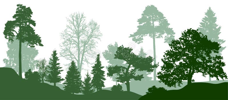 Siluetta degli alberi di verde di foresta Natura, parco Fondo di vettore