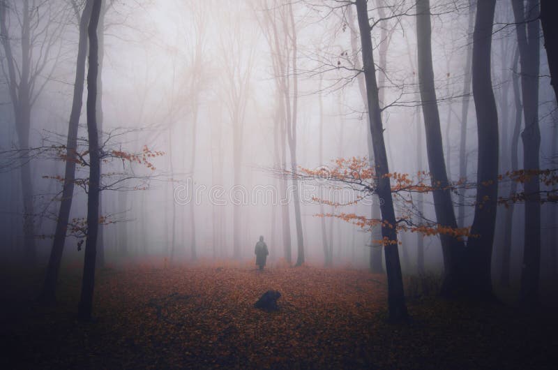 Siluetta del fantasma in foresta scura con nebbia su Halloween fotografia stock Siluetta del fantasma in foresta scura con nebbia su Halloween fotografia stock