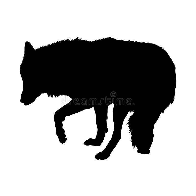 Siluetta del lupo illustrazione vettoriale Siluetta del lupo illustrazione vettoriale