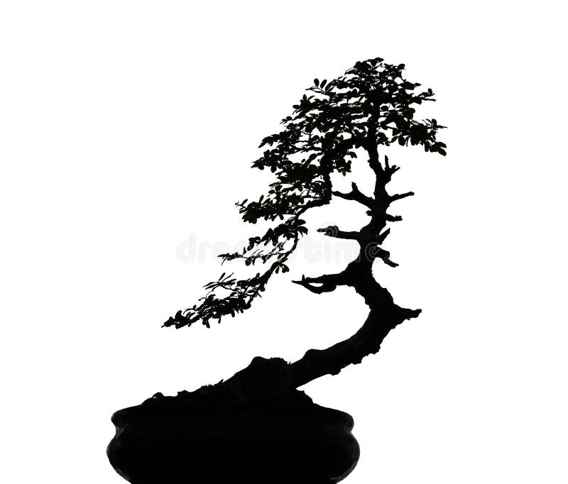 Siluetta dell'albero dei bonsai del nero della natura isolata su fondo bianco con il percorso di ritaglio fotografia stock Siluetta dell'albero dei bonsai del nero della natura isolata su fondo bianco con il percorso di ritaglio fotografia stock