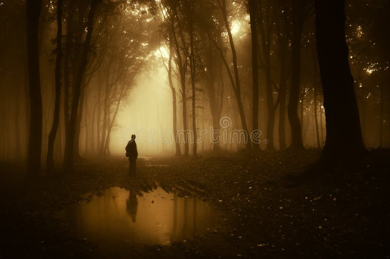 Siluetta dell'uomo che sta vicino ad uno stagno in una foresta terrificante scura con nebbia in autunno