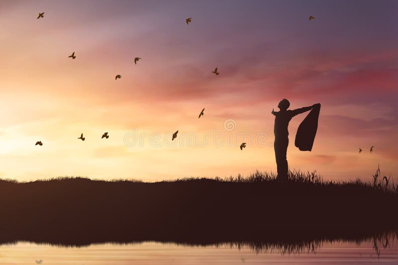 Siluetta dell'uomo d'affari che gode del sole che splende con gli uccelli di volo fotografia stock Siluetta dell'uomo d'affari che gode del sole che splende con gli uccelli di volo fotografia stock