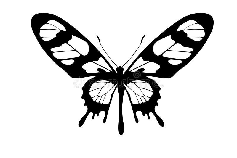 Sagoma di farfalla illustrazione vettoriale