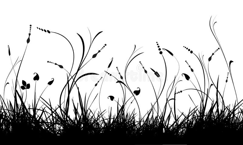 Drawing of grass and plant in a white background. Drawing of grass and plant in a white background