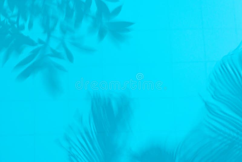 Siluetta vaga delle foglie di palma su acqua immagini stock Siluetta vaga delle foglie di palma su acqua immagini stock
