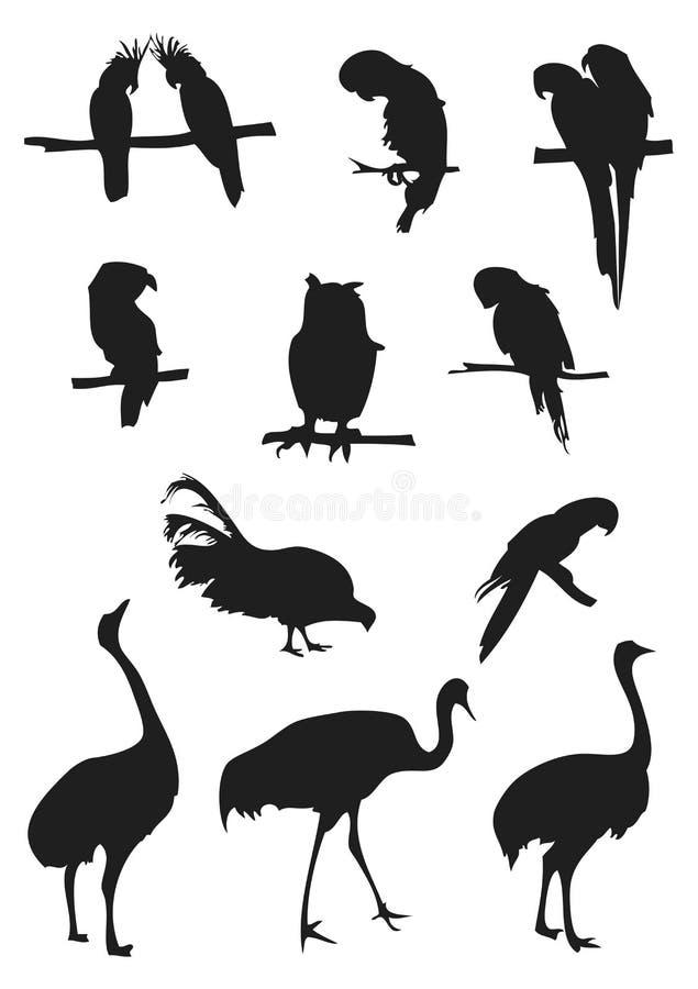 Siluette degli uccelli illustrazione vettoriale Siluette degli uccelli illustrazione vettoriale