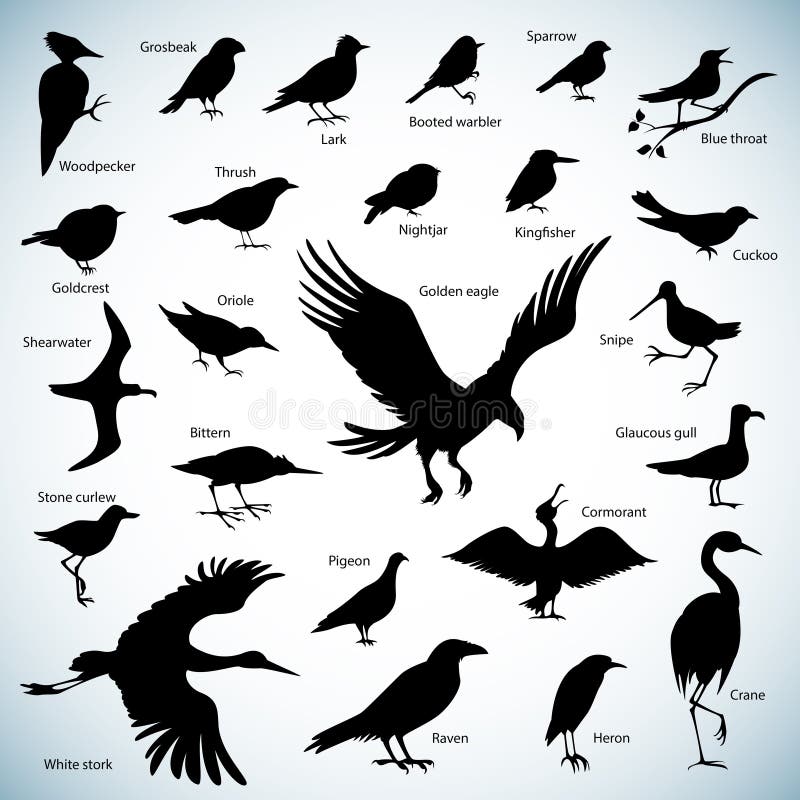 Siluette degli uccelli illustrazione di stock Siluette degli uccelli illustrazione di stock