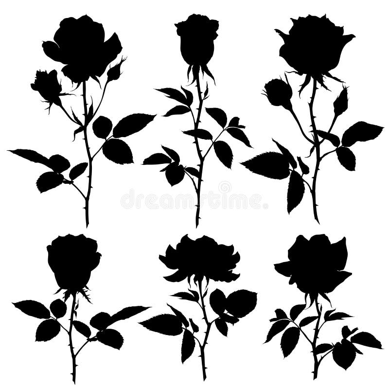Siluette delle rose Insieme delle siluette di vettore su fondo bianco illustrazione di stock Siluette delle rose Insieme delle siluette di vettore su fondo bianco illustrazione di stock