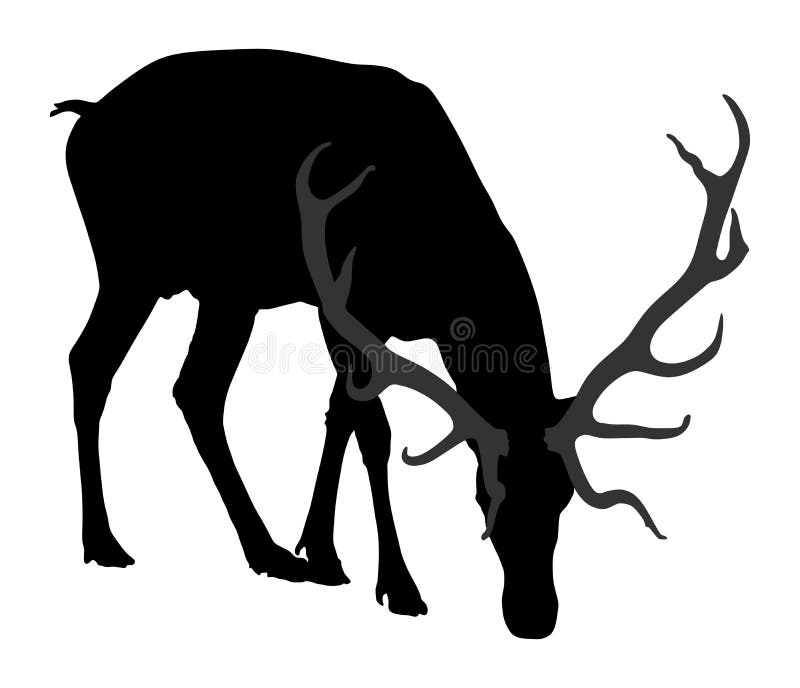 Siluetă cerb. iarbă pentru păscut. royalty free illustration