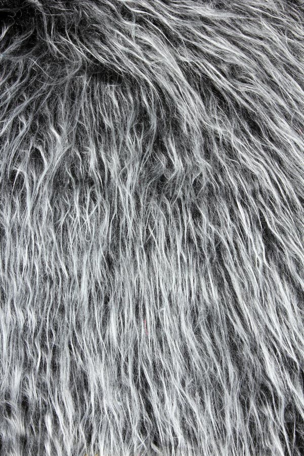 Silver Back Gorilla Hair Background Royalty Free Stock Photography ...