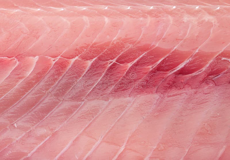 Silver carp fillet stock photo. Image of meat, closeup 16432952