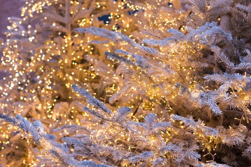 Silver Christmas Tree With Golden Shining Garlands Against The Background Of Pavers, Christmas