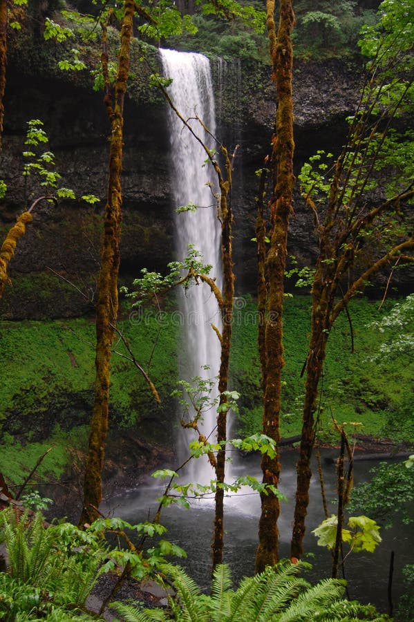 Silver Falls - Oregon Waterfall